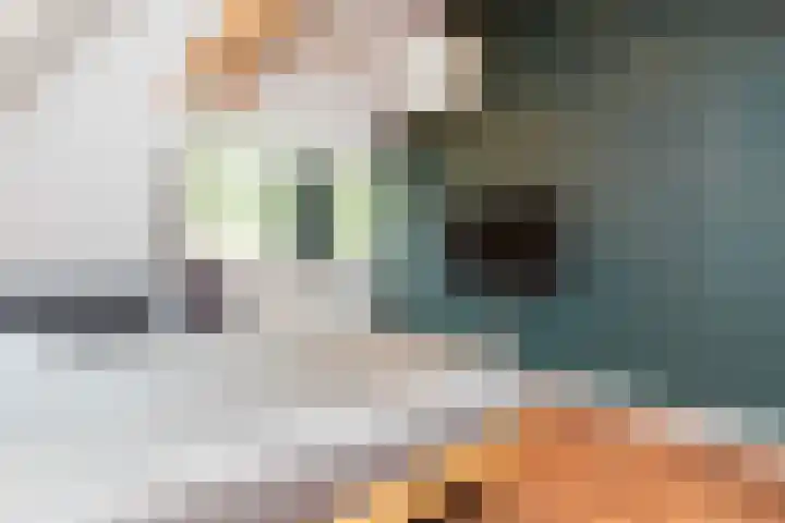 Badhuislaan 4 Laag-Soeren thumbnail 27