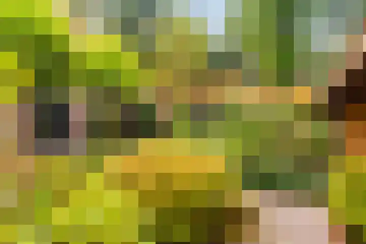 Badhuislaan 4 Laag-Soeren thumbnail 32