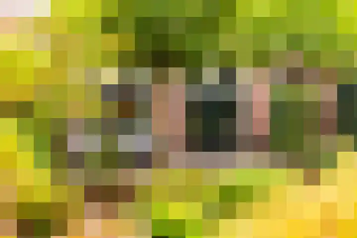 Badhuislaan 4 Laag-Soeren thumbnail 33