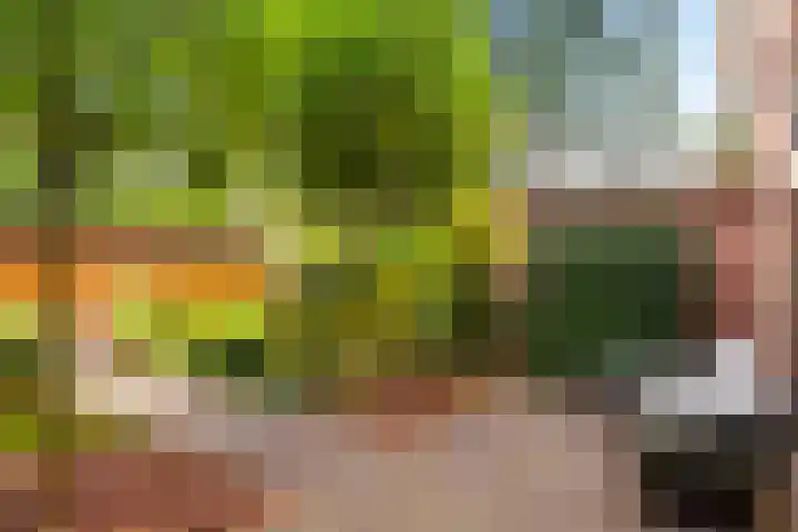 Badhuislaan 4 Laag-Soeren thumbnail 34