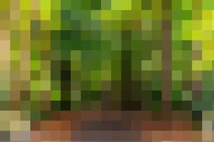 Badhuislaan 4 Laag-Soeren thumbnail 37
