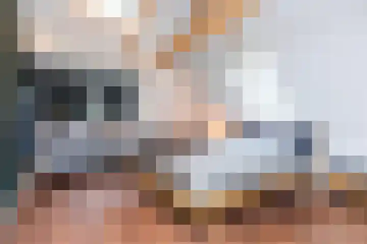 Badhuislaan 4 Laag-Soeren thumbnail 4