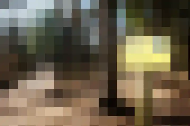 Badhuislaan 4 Laag-Soeren thumbnail 49