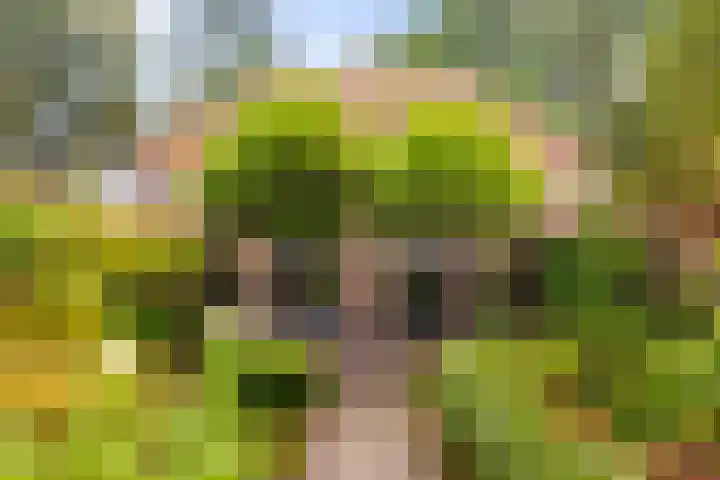 Badhuislaan 4 Laag-Soeren thumbnail 5