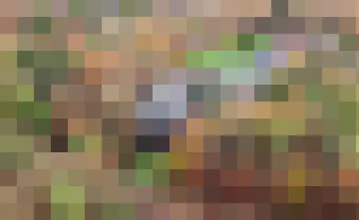 Badhuislaan 4 Laag-Soeren thumbnail 50