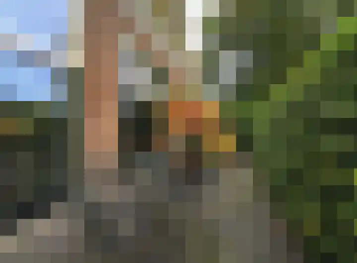 Badhuislaan 4 Laag-Soeren thumbnail 8