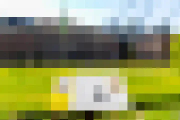 Badhuislaan 45 Laag-Soeren thumbnail 11