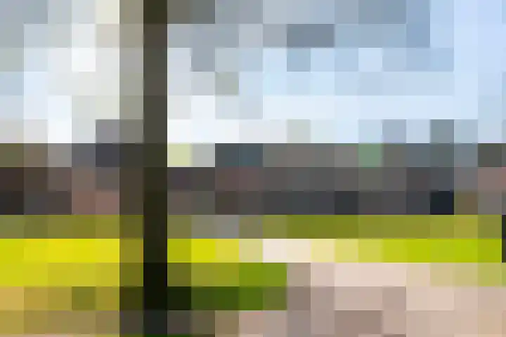 Badhuislaan 45 Laag-Soeren thumbnail 12