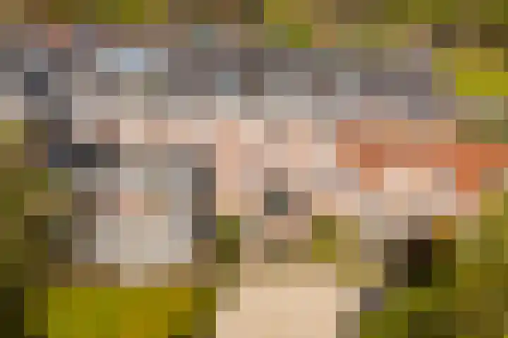 Badhuislaan 45 Laag-Soeren thumbnail 13