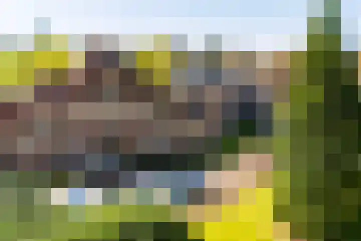 Badhuislaan 45 Laag-Soeren thumbnail 14