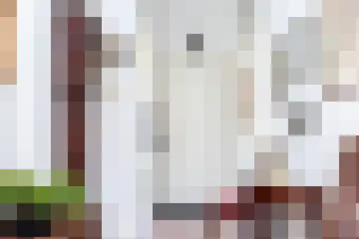 Badhuislaan 45 Laag-Soeren thumbnail 19