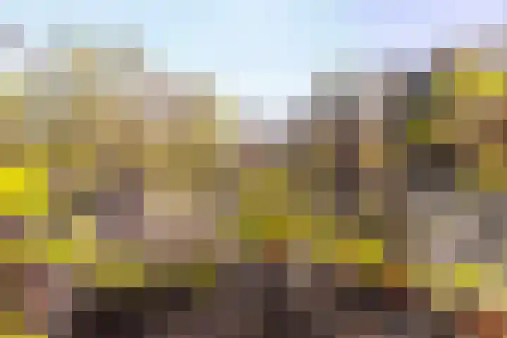Badhuislaan 45 Laag-Soeren thumbnail 35
