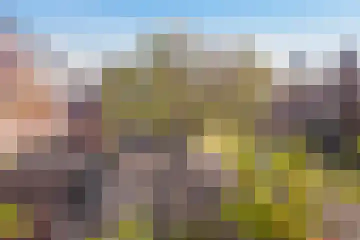 Badhuislaan 45 Laag-Soeren thumbnail 36