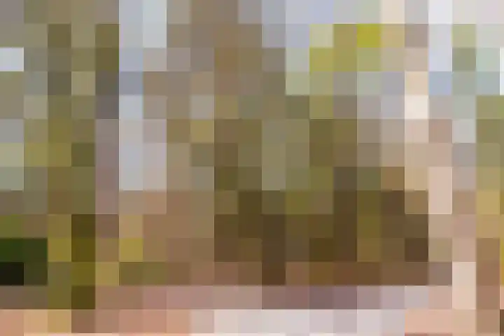Badhuislaan 45 Laag-Soeren thumbnail 6