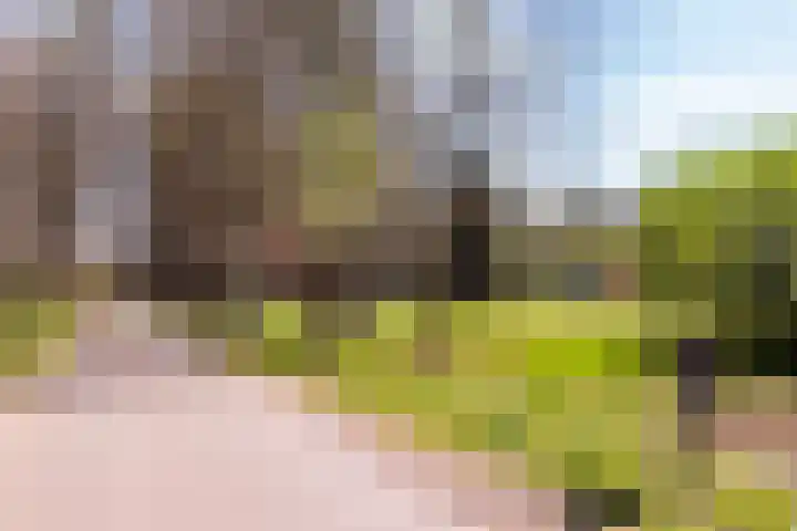 Badhuislaan 45 Laag-Soeren thumbnail 7