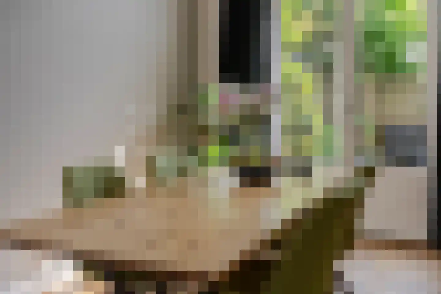 Badhuislaan 5 Bussum thumbnail 10