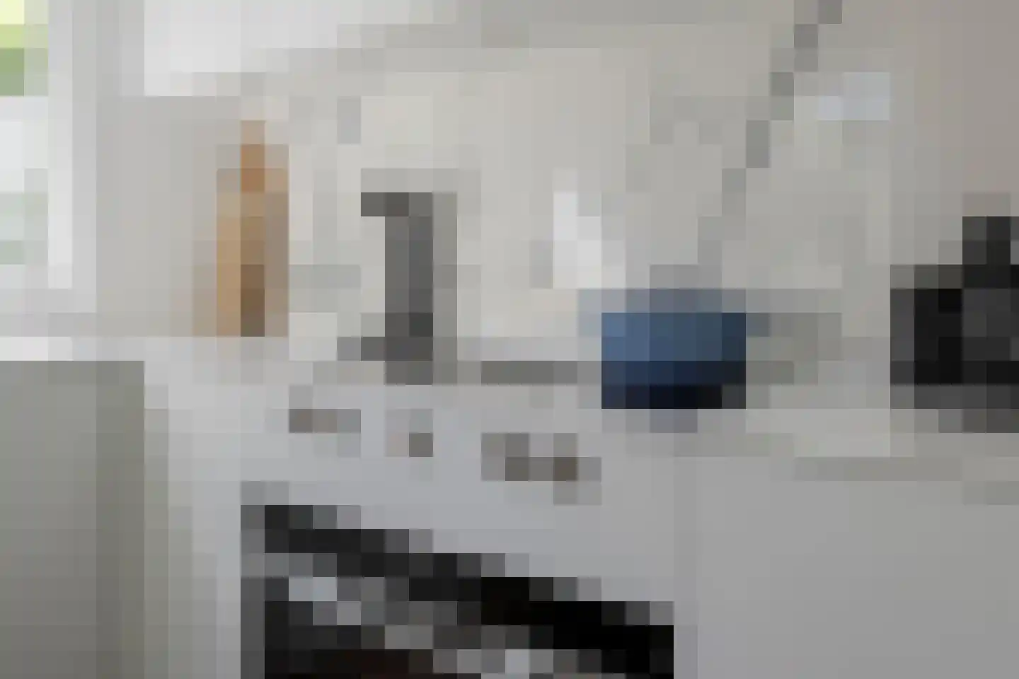 Badhuislaan 5 Bussum thumbnail 14