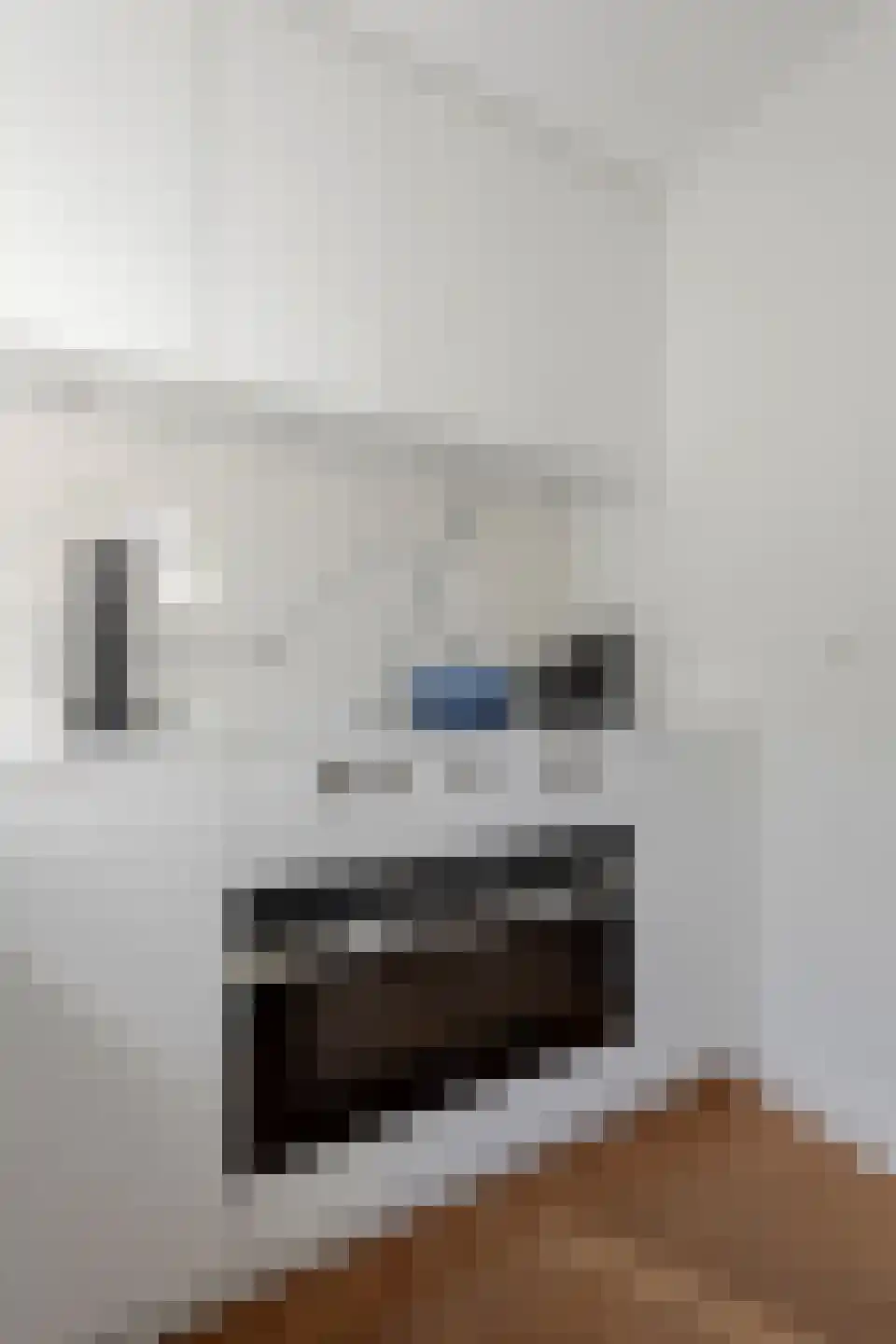 Badhuislaan 5 Bussum thumbnail 15