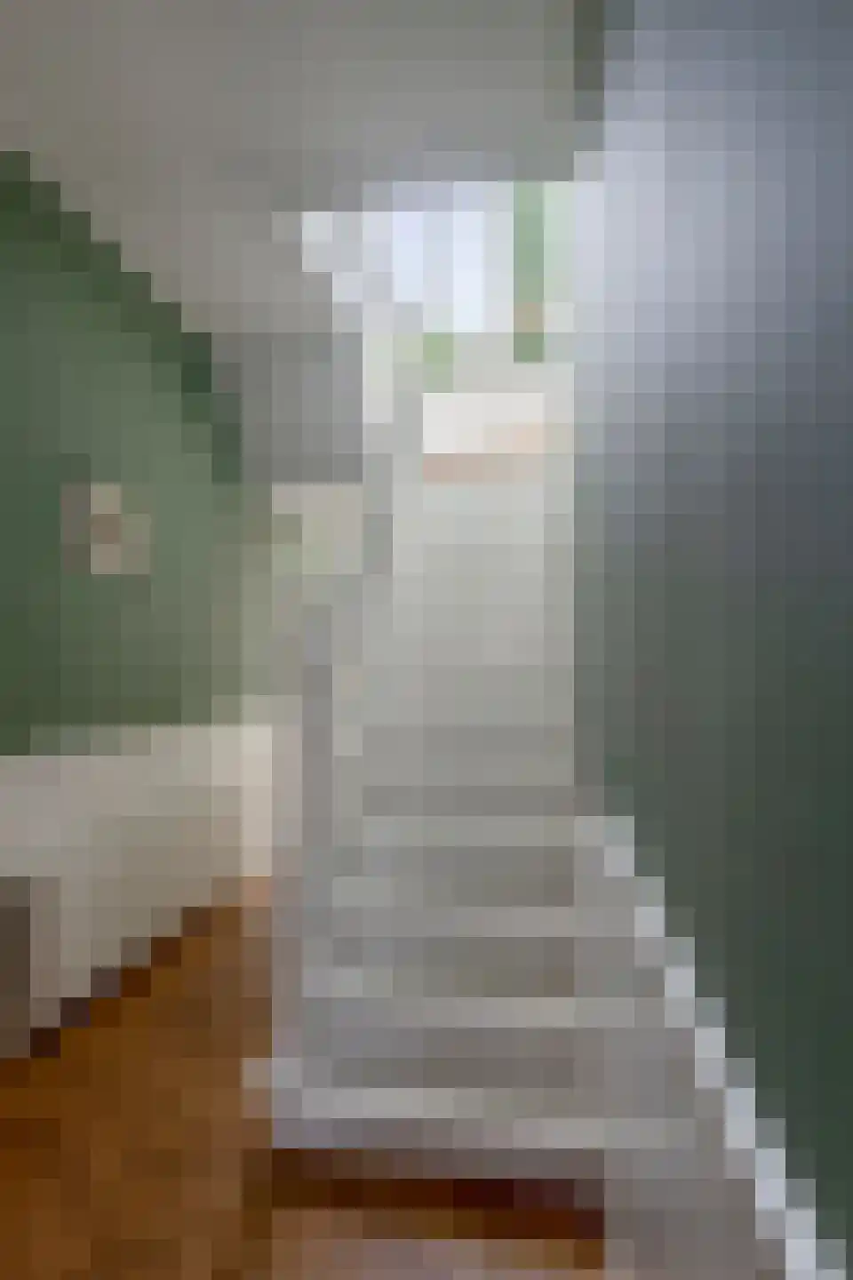 Badhuislaan 5 Bussum thumbnail 17