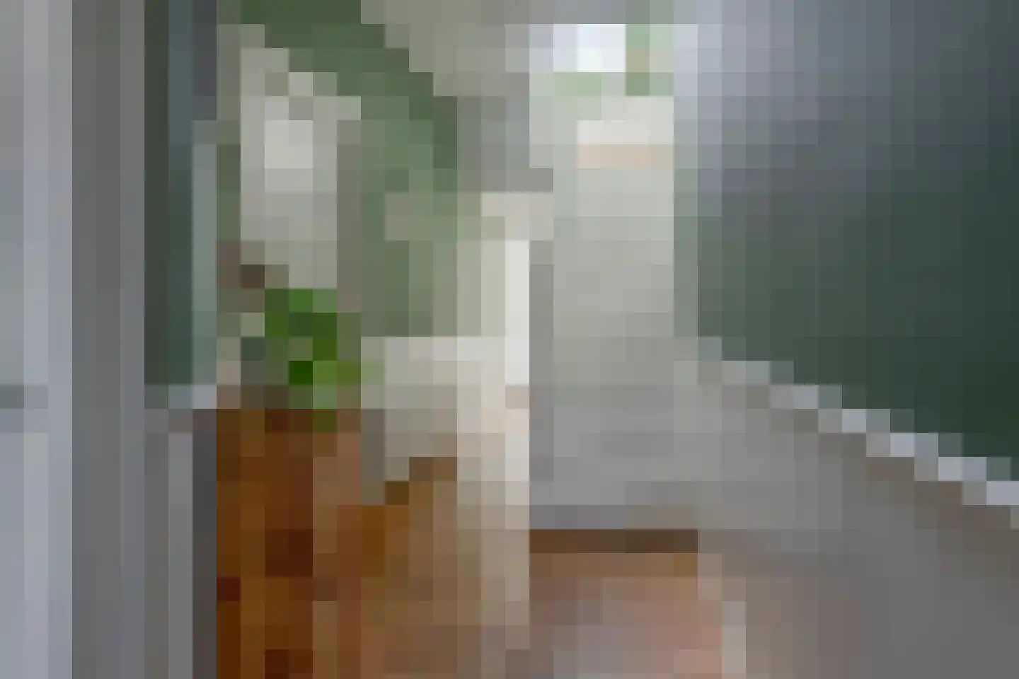 Badhuislaan 5 Bussum thumbnail 4