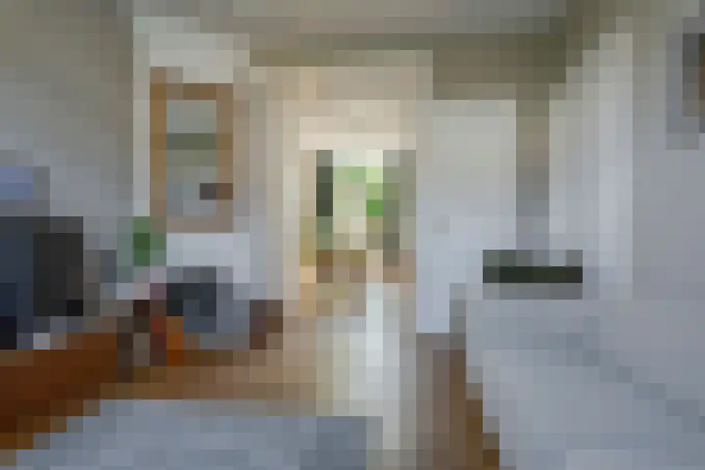 Badhuislaan 5 Bussum thumbnail 7