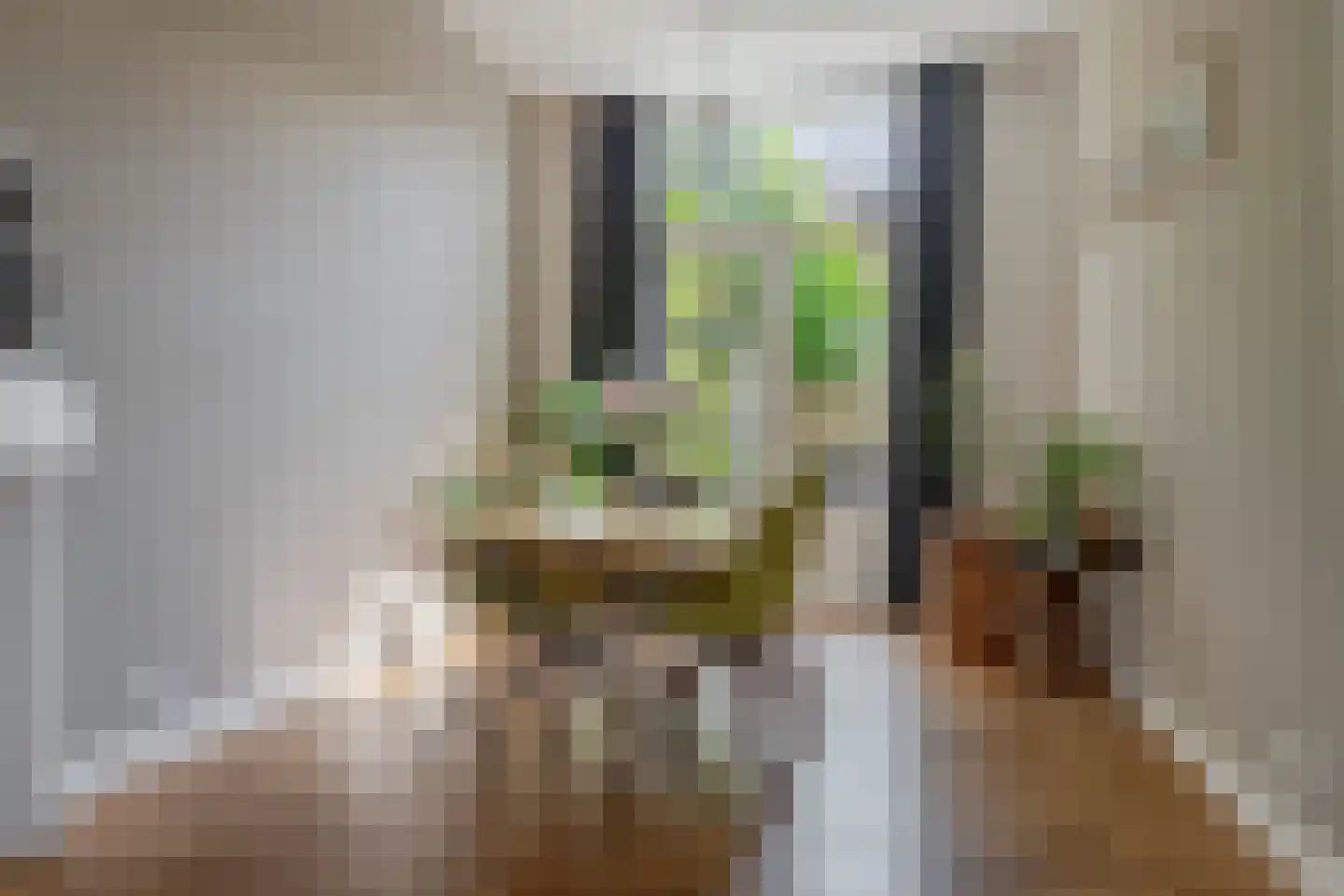 Badhuislaan 5 Bussum thumbnail 8