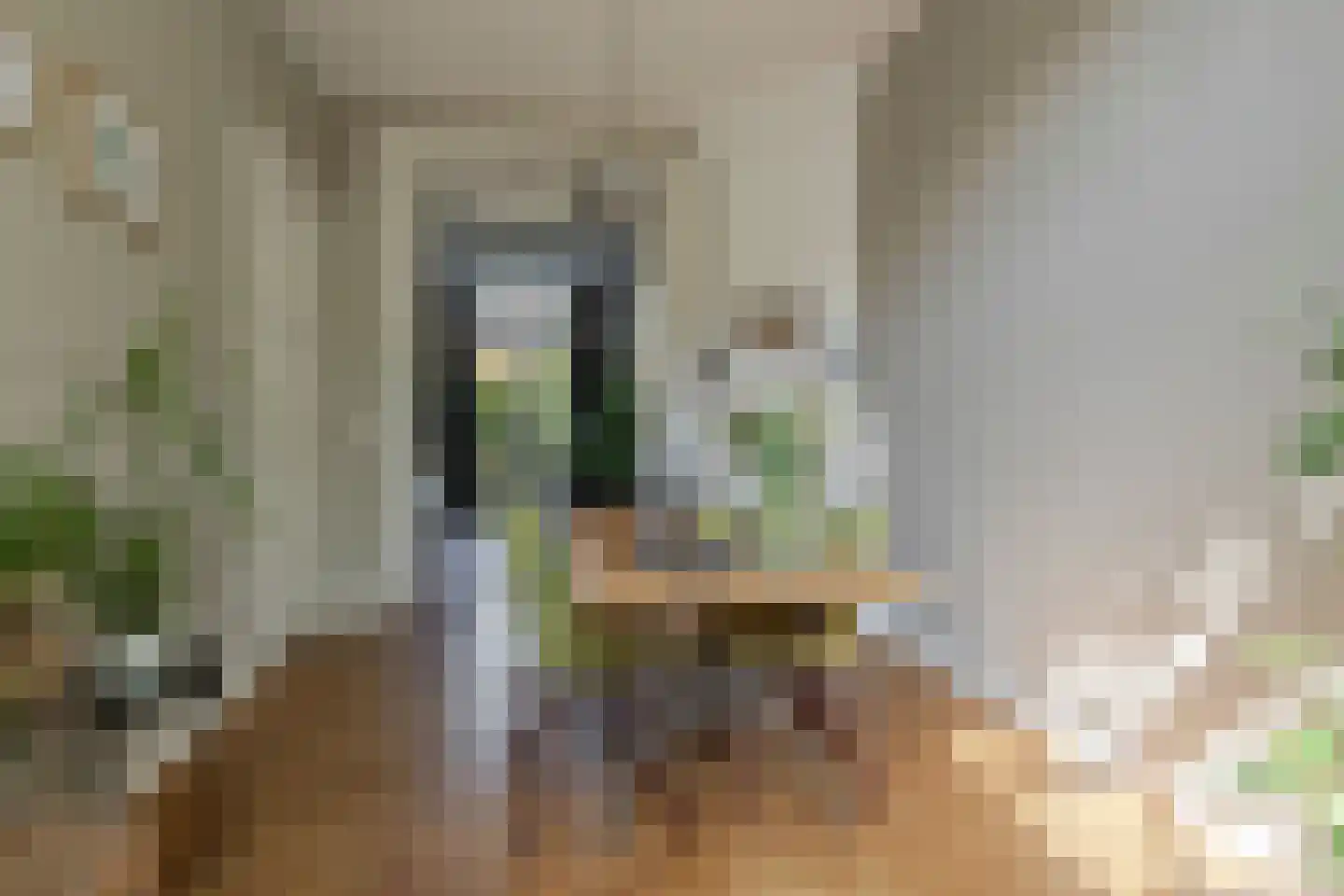 Badhuislaan 5 Bussum thumbnail 9
