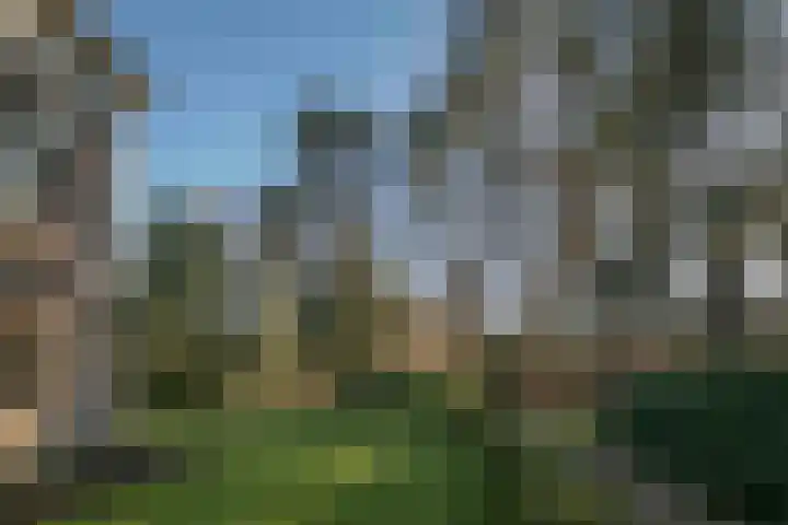 Badhuislaan 57 Laag-Soeren thumbnail 34