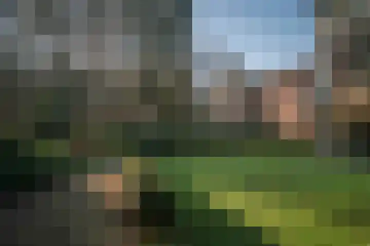 Badhuislaan 57 Laag-Soeren thumbnail 36