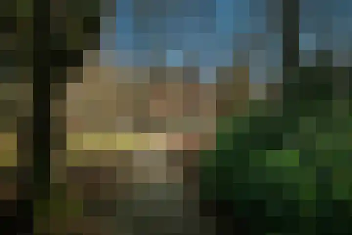 Badhuislaan 57 Laag-Soeren thumbnail 46