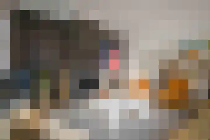 Badhuislaan 57 Laag-Soeren thumbnail 5