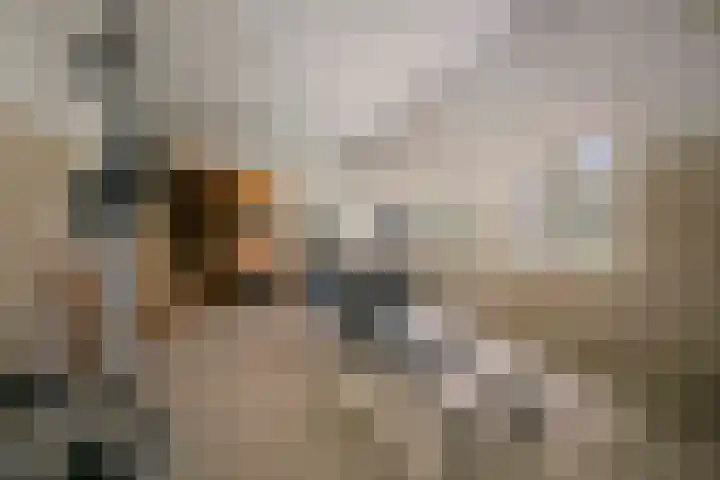 Badhuislaan 57 Laag-Soeren thumbnail 54
