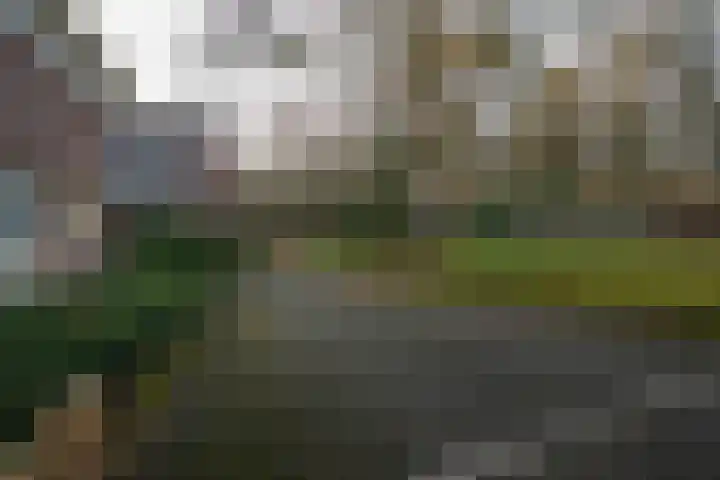 Badhuislaan 57 Laag-Soeren thumbnail 55