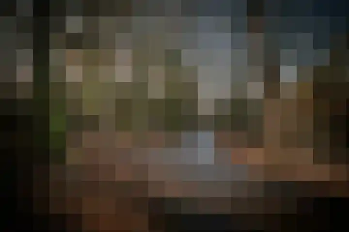 Badhuislaan 57 Laag-Soeren thumbnail 56