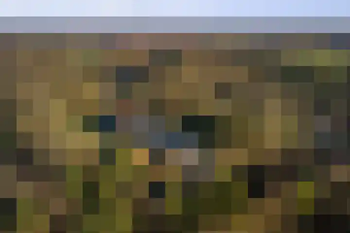 Badhuislaan 57 Laag-Soeren thumbnail 61
