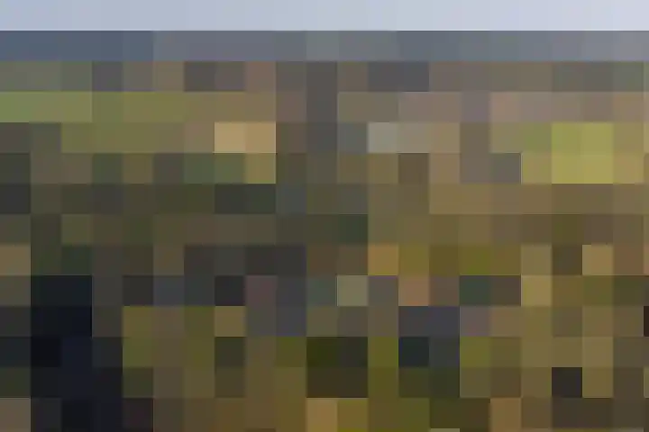 Badhuislaan 57 Laag-Soeren thumbnail 62