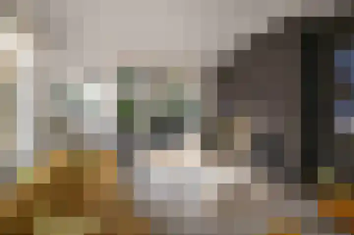 Badhuislaan 57 Laag-Soeren thumbnail 7