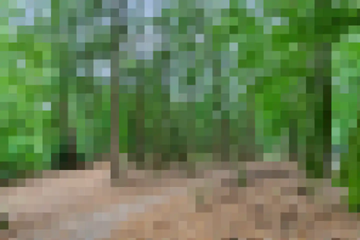 Badhuislaan 63 Laag-Soeren thumbnail 35