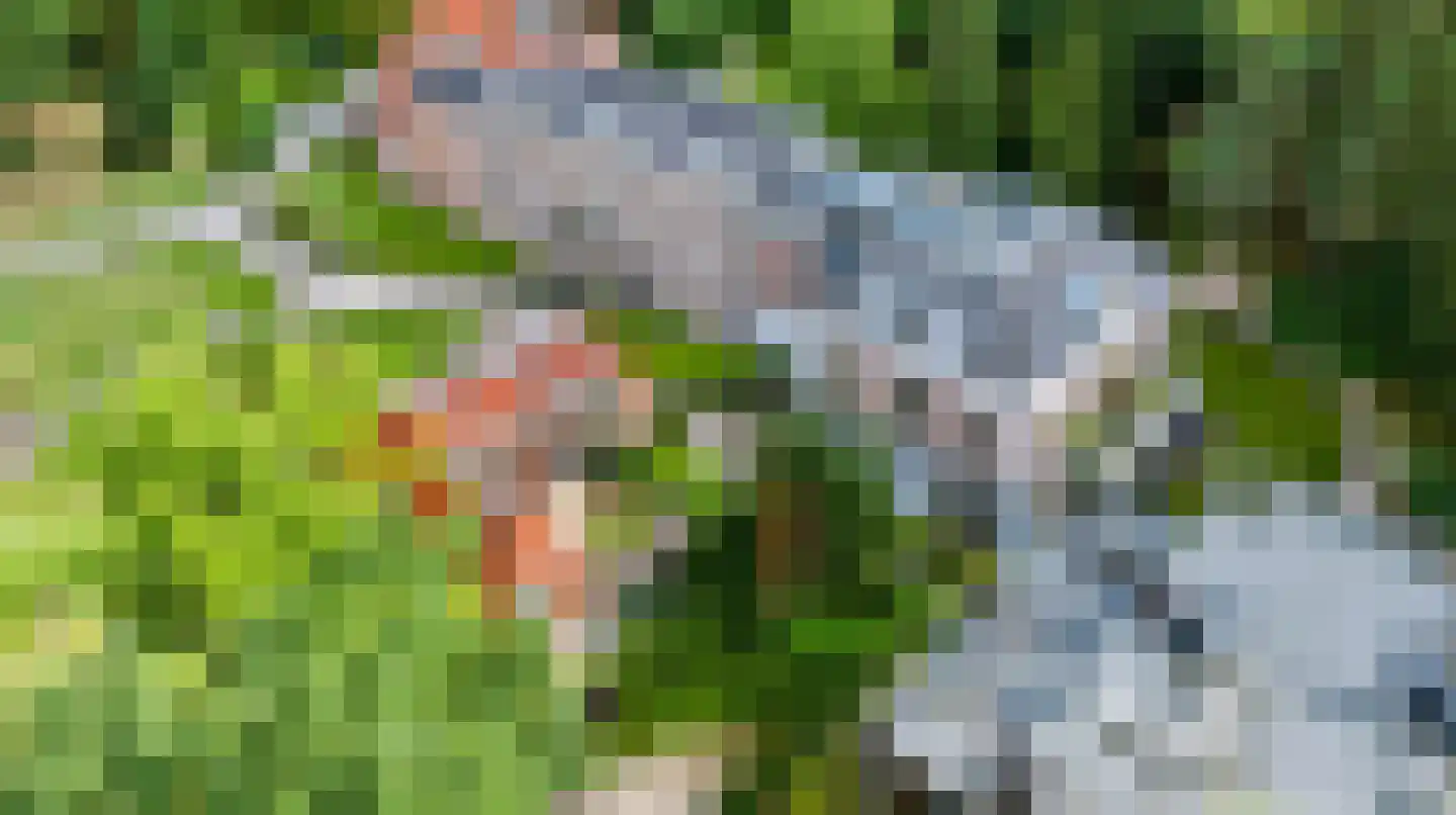 Badhuislaan 63 Laag-Soeren thumbnail 39