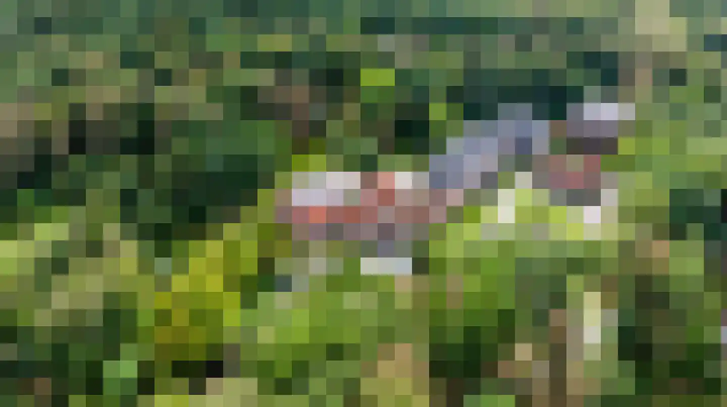Badhuislaan 63 Laag-Soeren thumbnail 41