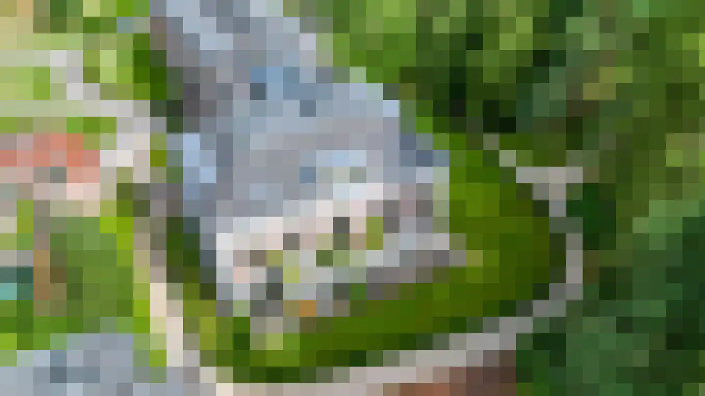 Badhuislaan 63 Laag-Soeren thumbnail 42