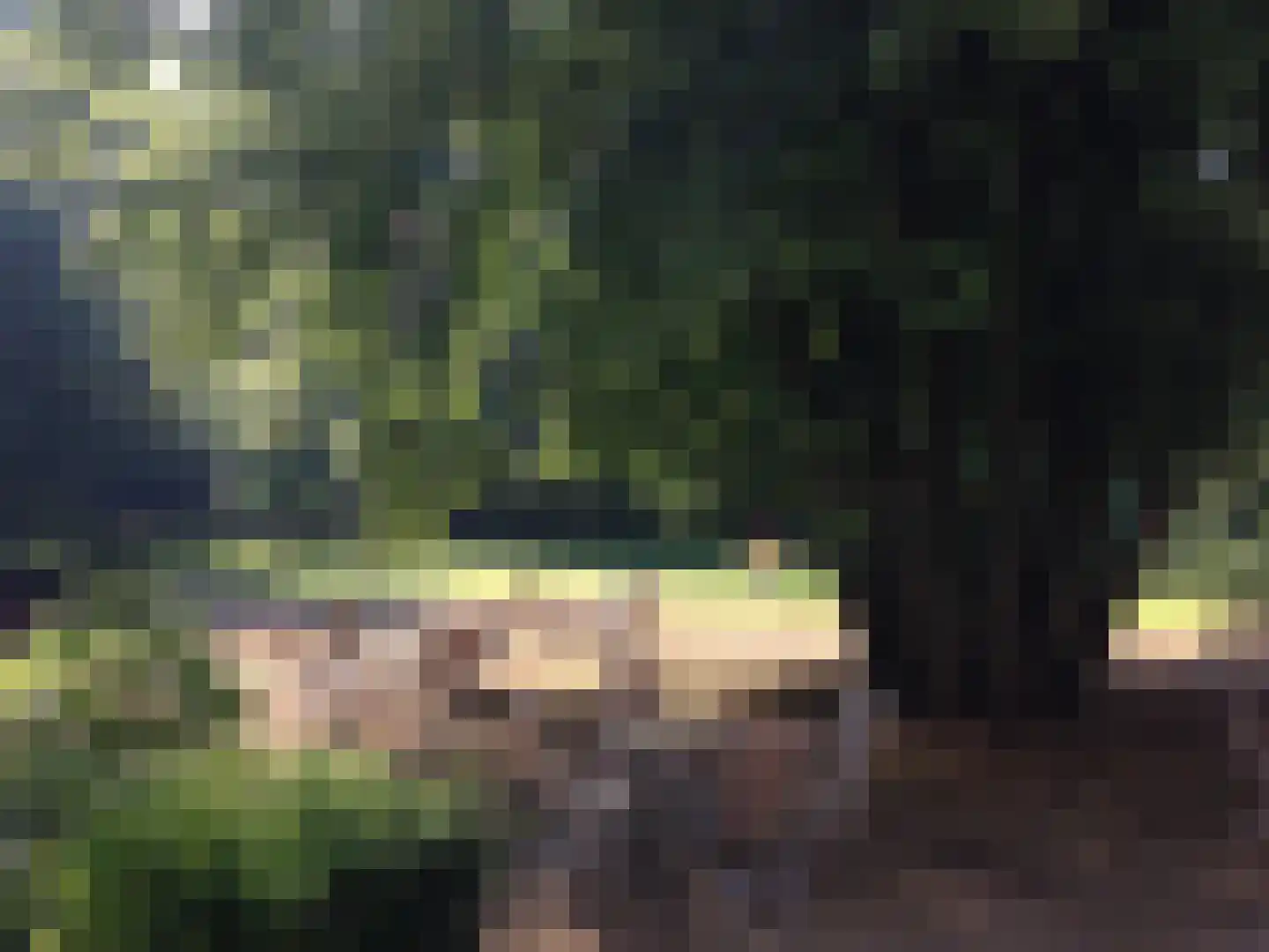 Badhuislaan 63 Laag-Soeren thumbnail 48