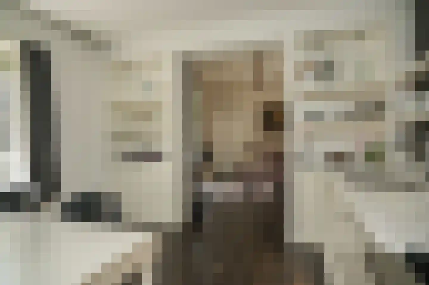 Badhuislaan 67 Laag-Soeren thumbnail 19