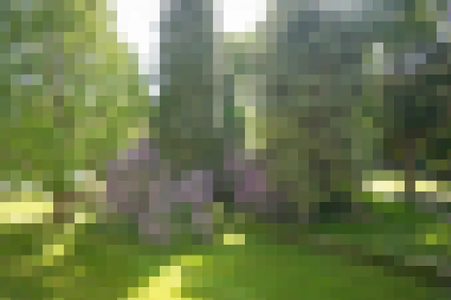 Badhuislaan 67 Laag-Soeren thumbnail 26