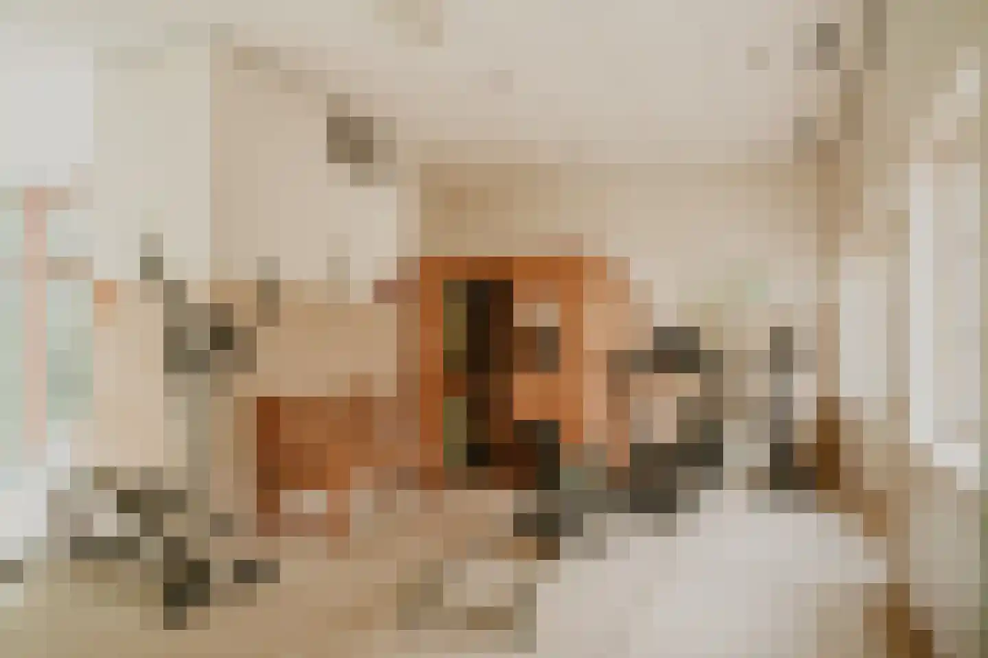 Badhuislaan 67 Laag-Soeren thumbnail 48