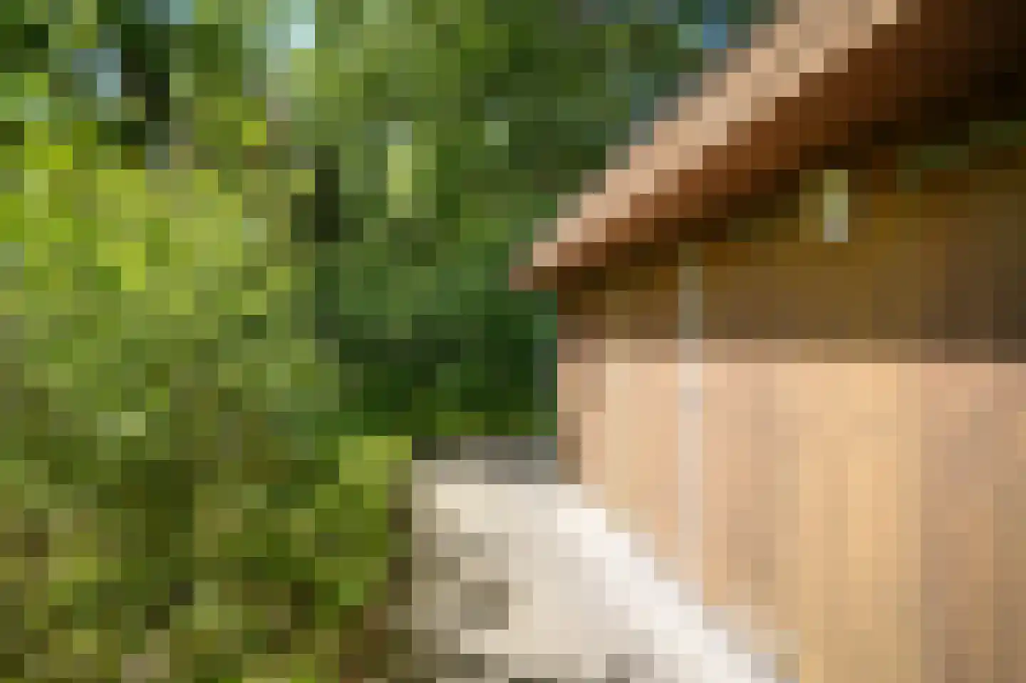 Badhuislaan 67 Laag-Soeren thumbnail 50