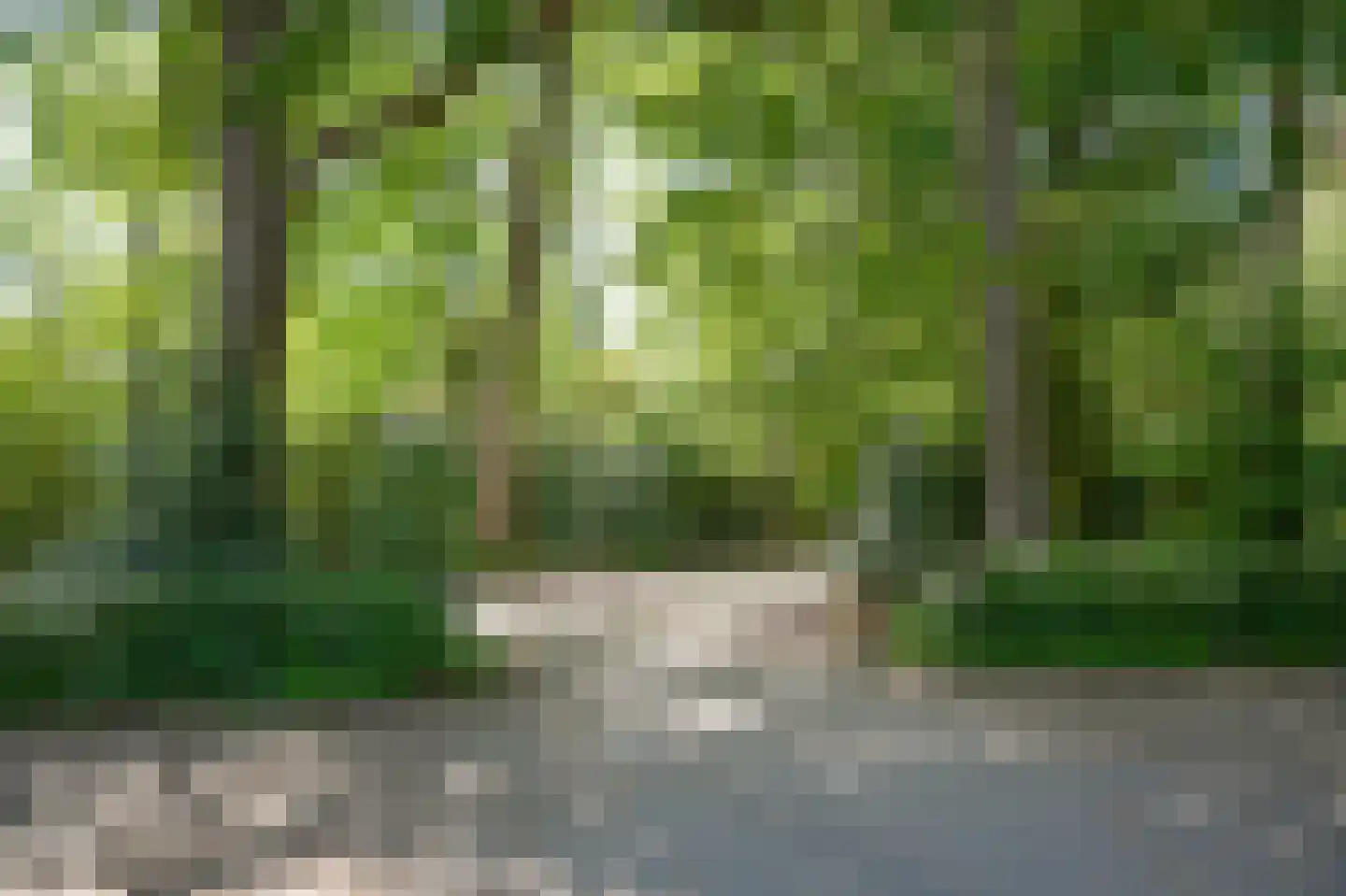 Badhuislaan 67 Laag-Soeren thumbnail 52