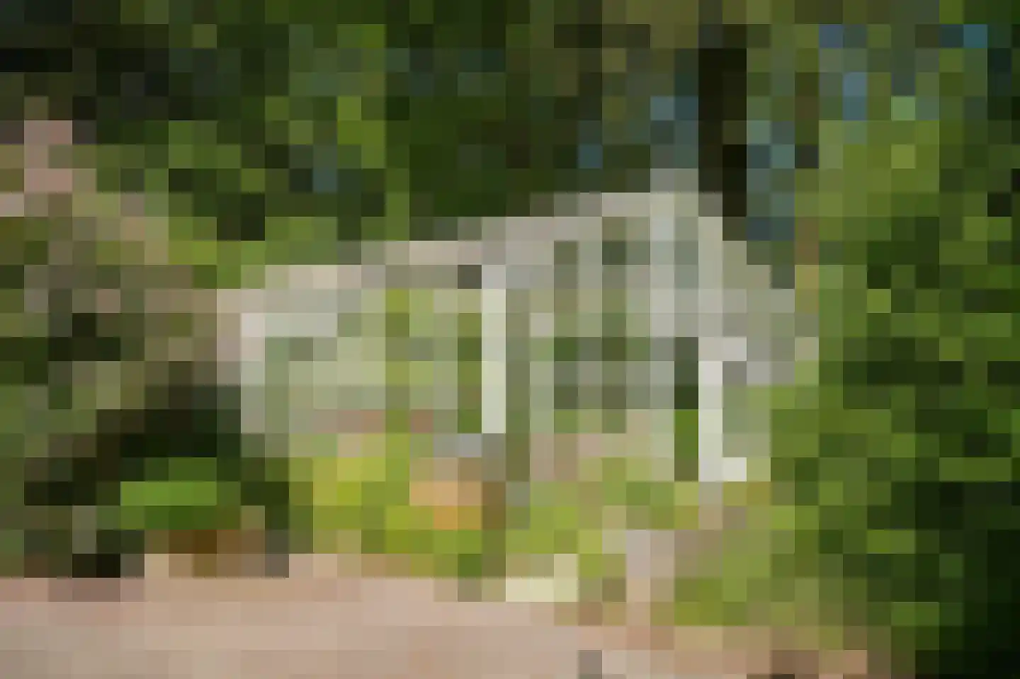 Badhuislaan 67 Laag-Soeren thumbnail 53