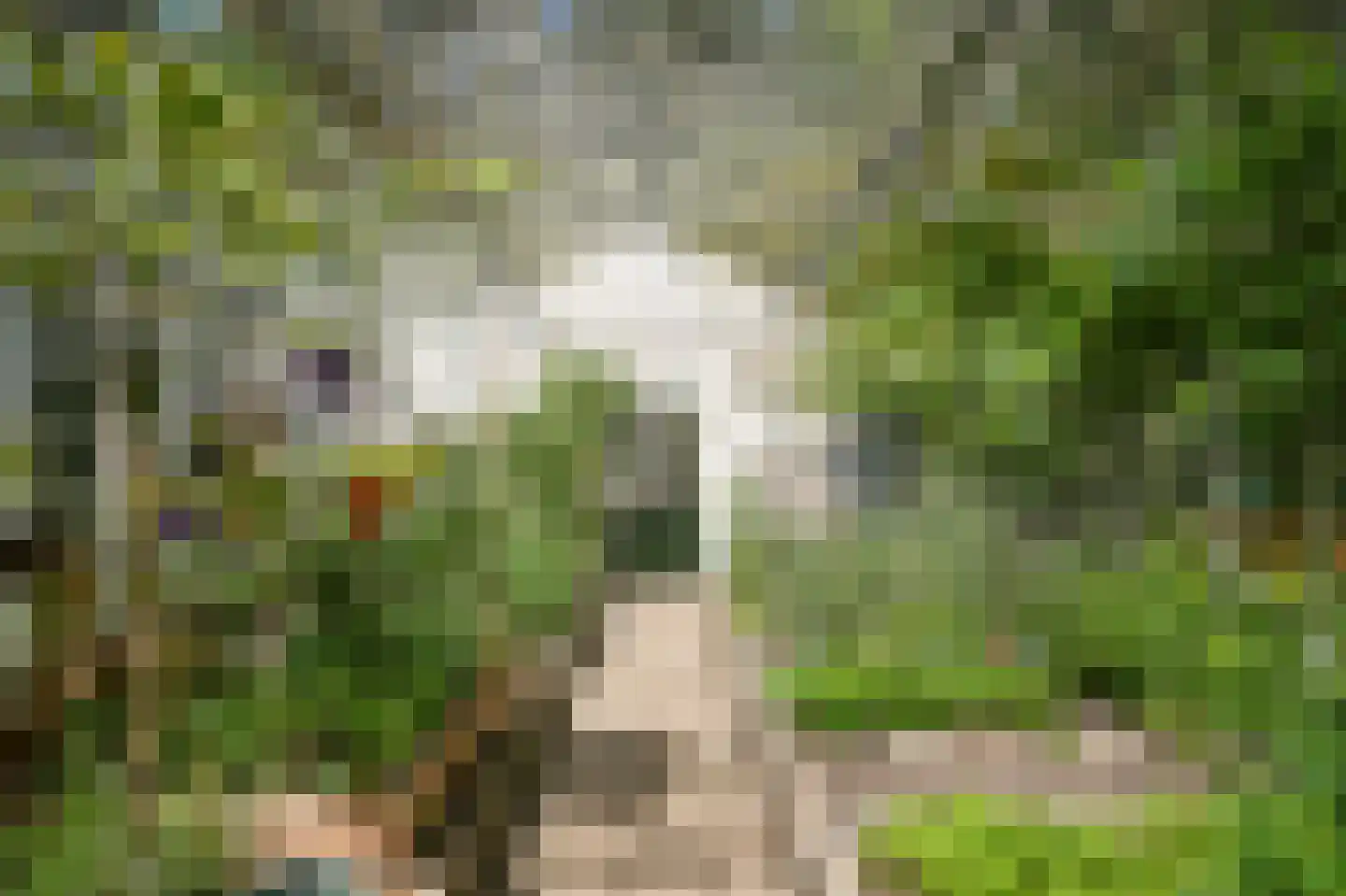 Badhuislaan 67 Laag-Soeren thumbnail 54