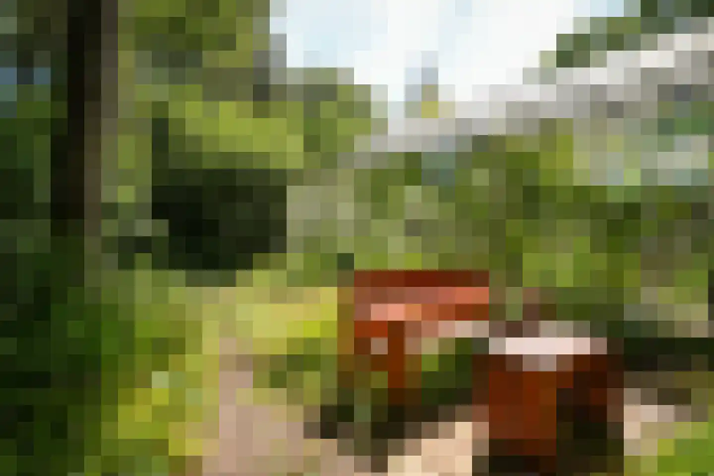 Badhuislaan 67 Laag-Soeren thumbnail 55